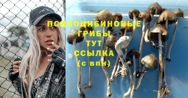 MESCALINE Абаза