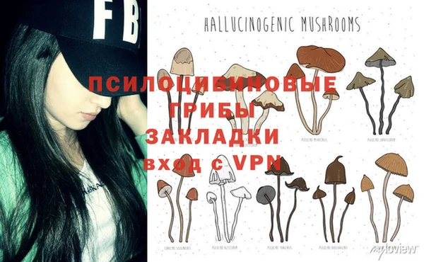 мдпв Абинск